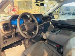 فورد إف-150